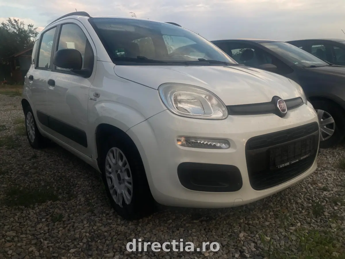 Poza principală