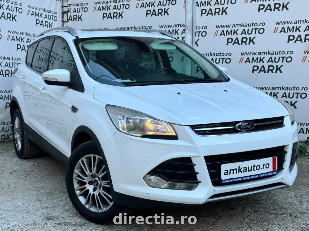 Poza principală