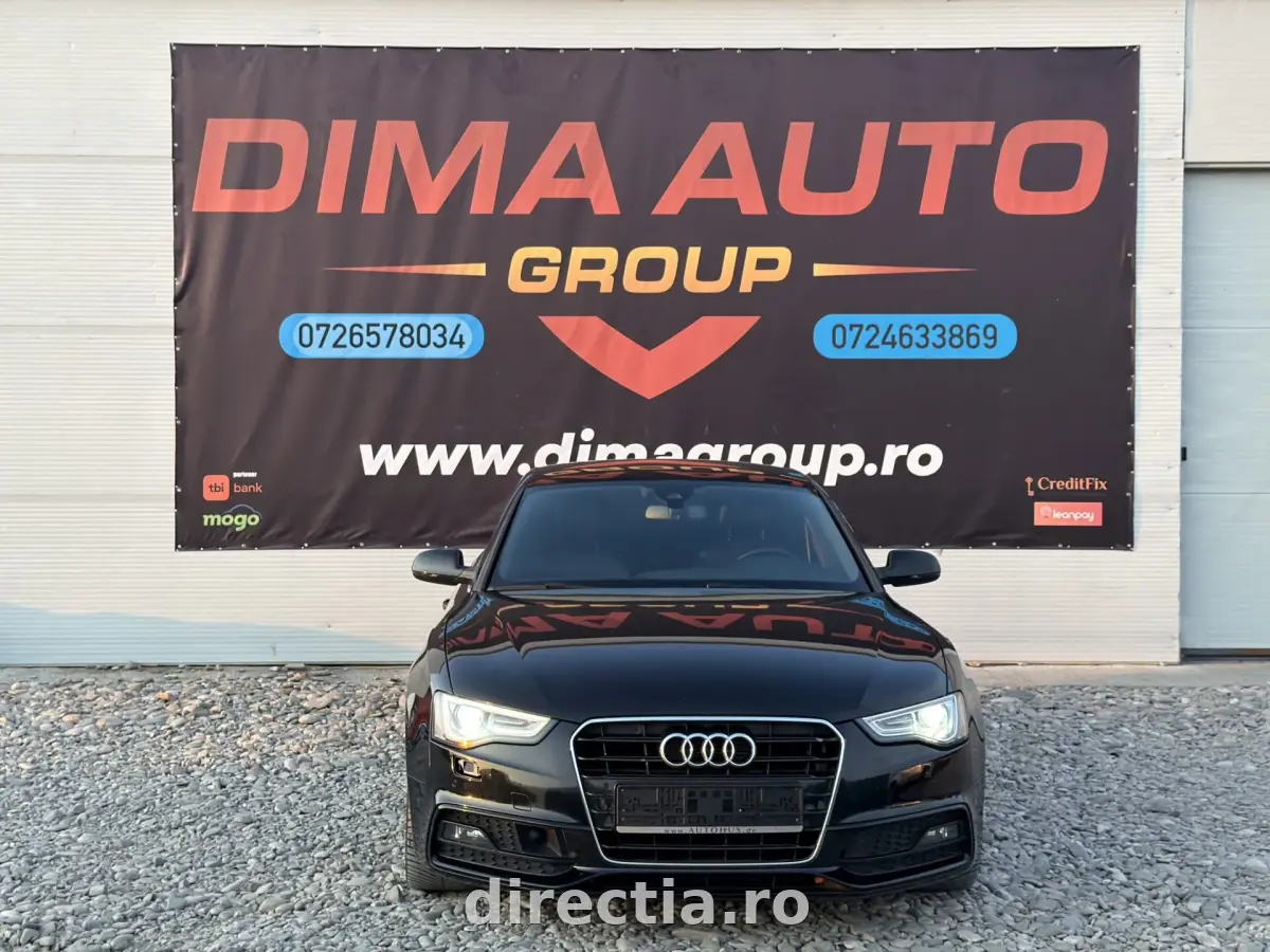 Poza principală