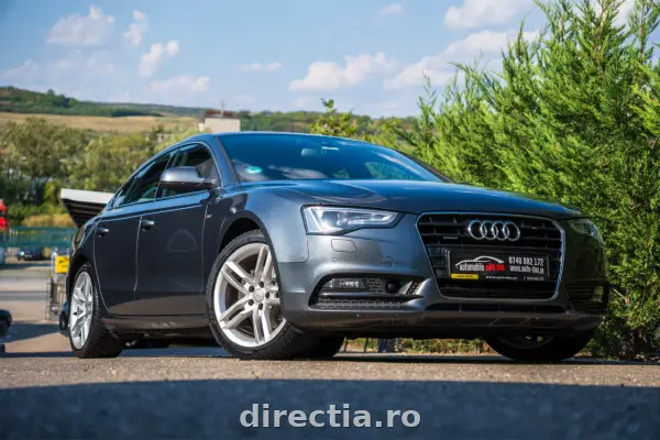 Poza anunț 1