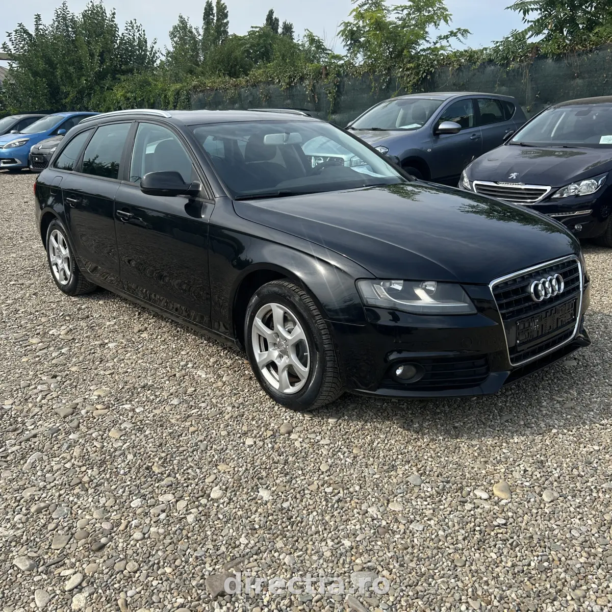 Poza principală
