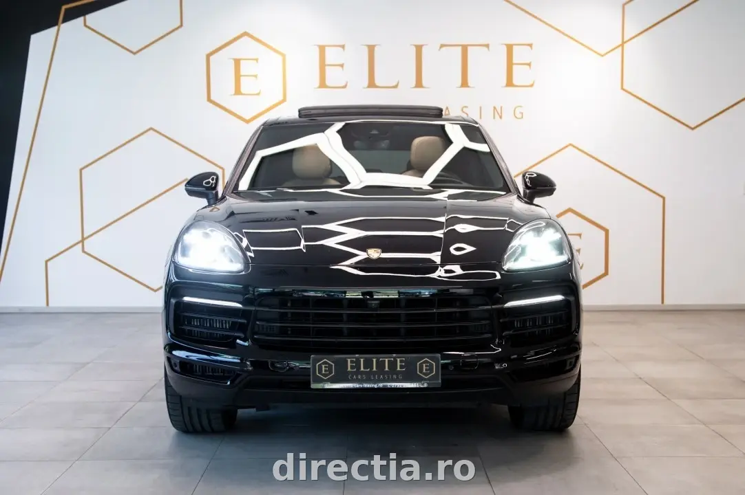 Poza principală