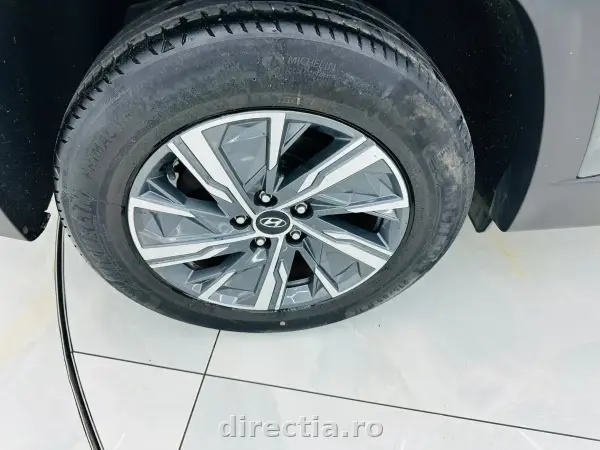 Poza anunț 9