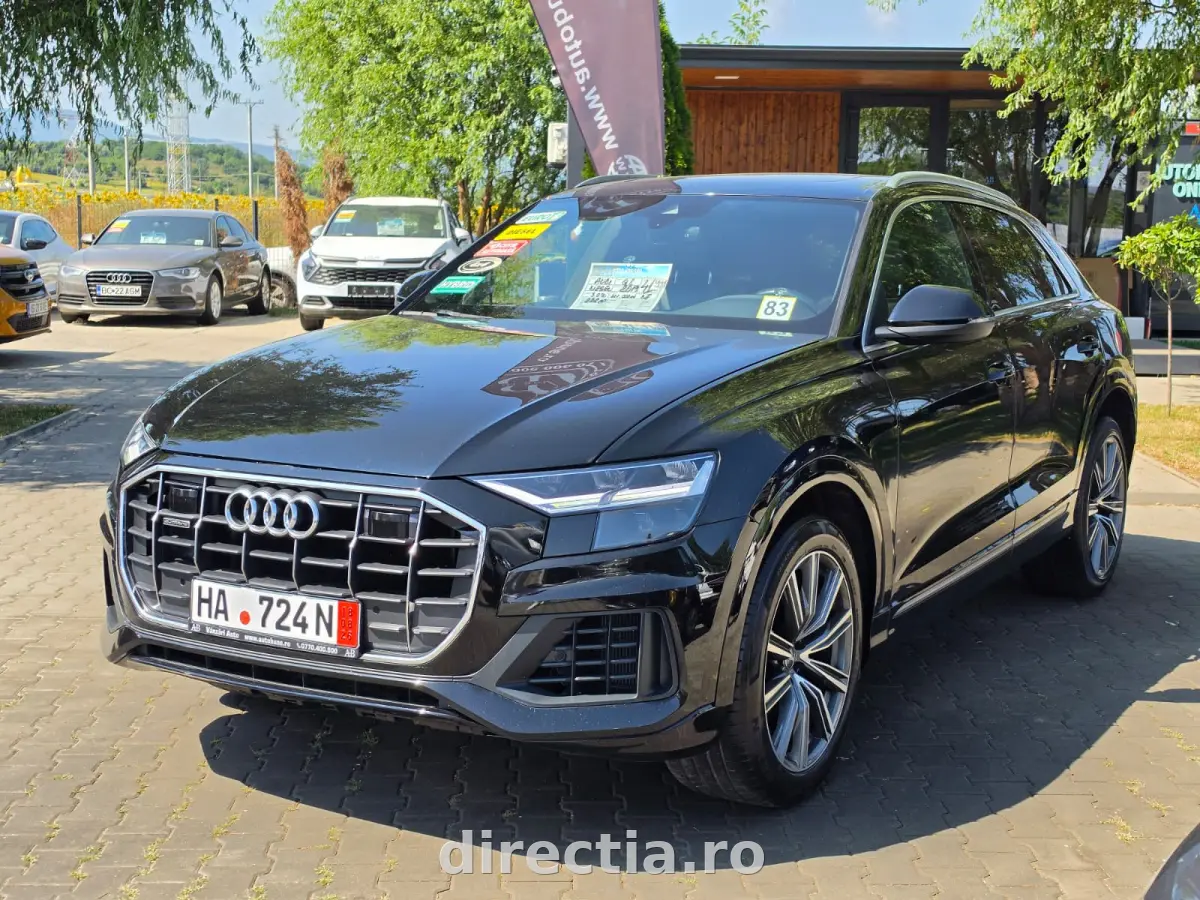 Poza principală