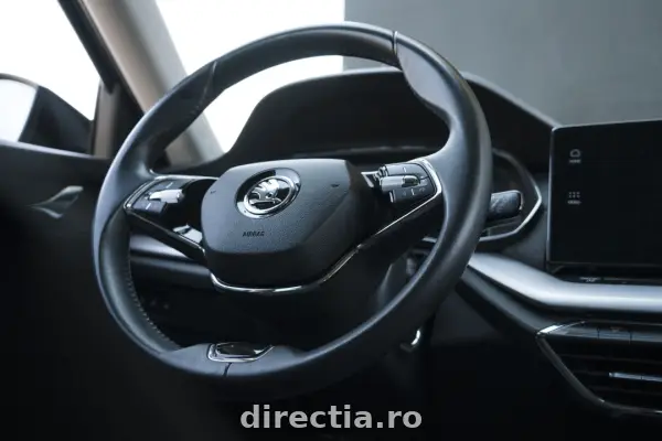 Poza anunț 16