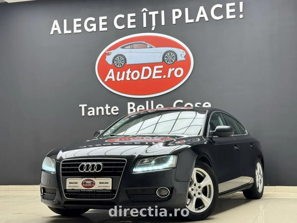 Poza principală