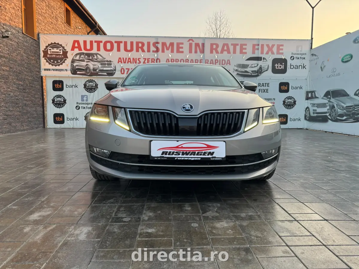 Poza principală
