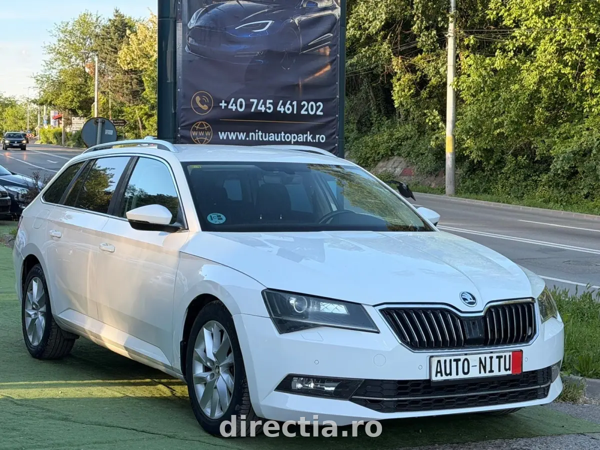 Poza principală