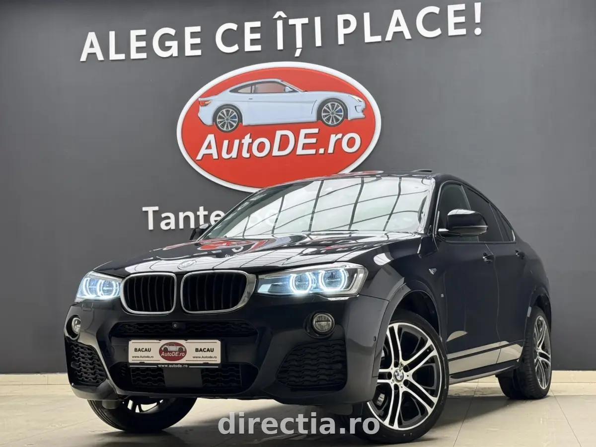 Poza principală