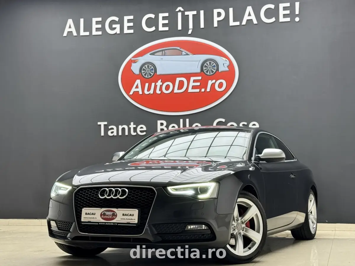 Poza principală