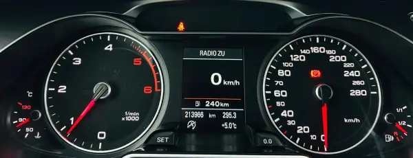 Poza anunț 25