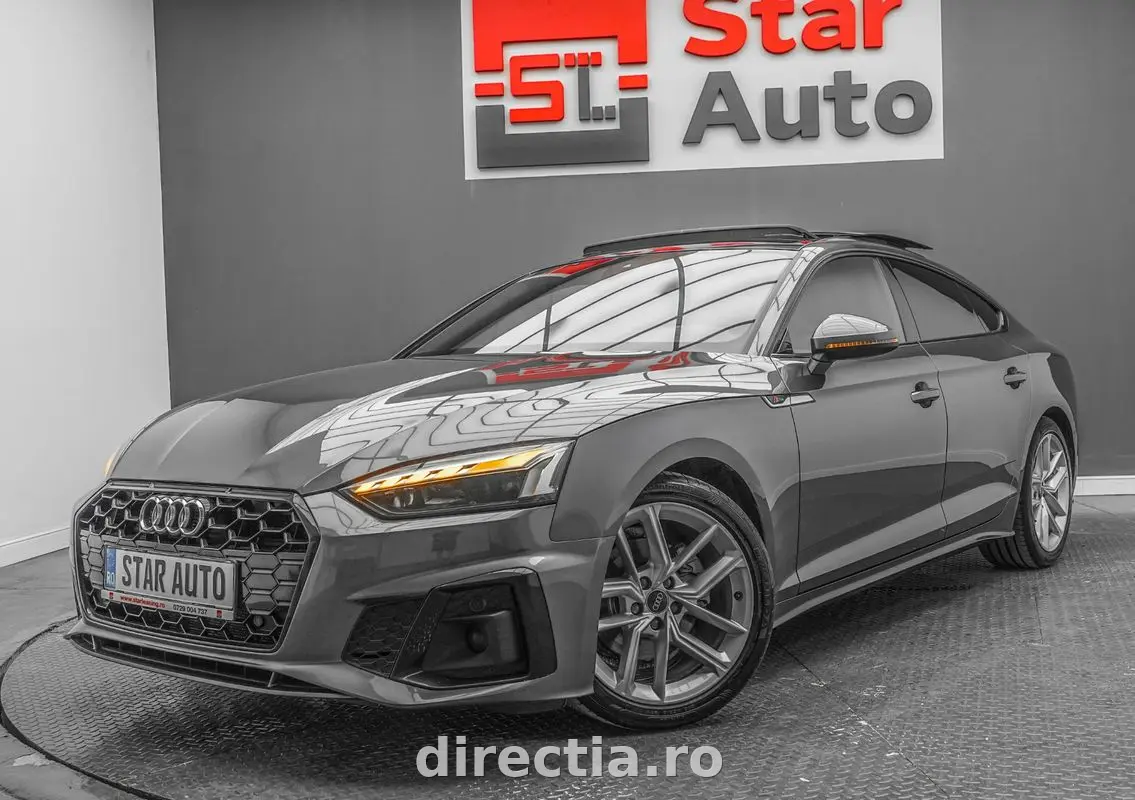 Poza principală