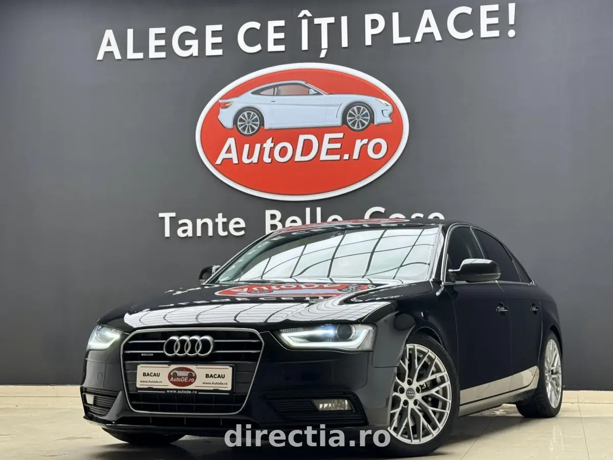 Poza principală
