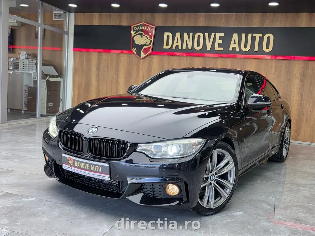 Poza principală