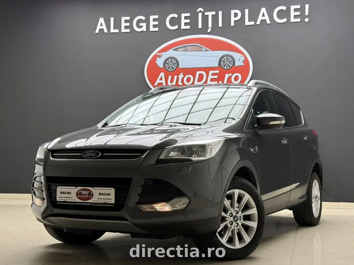 Poza principală