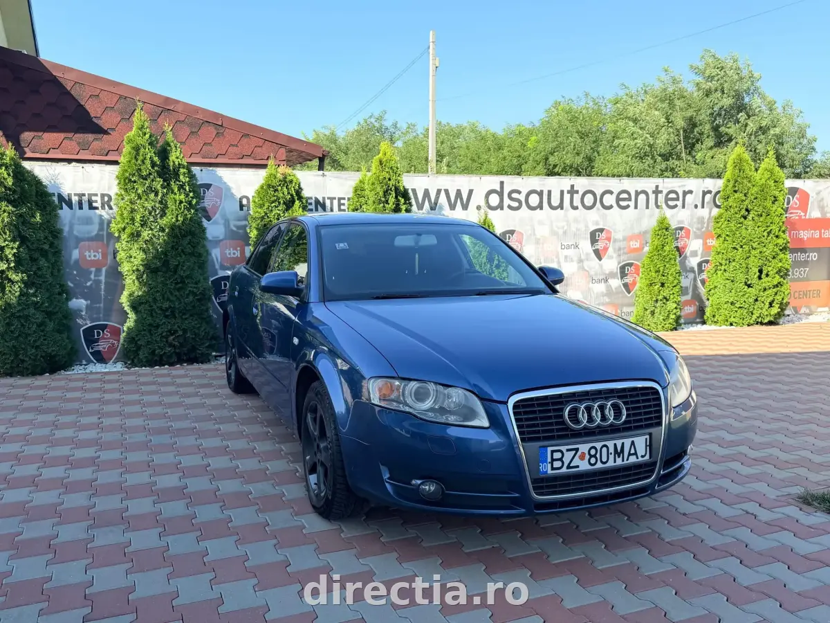 Poza principală