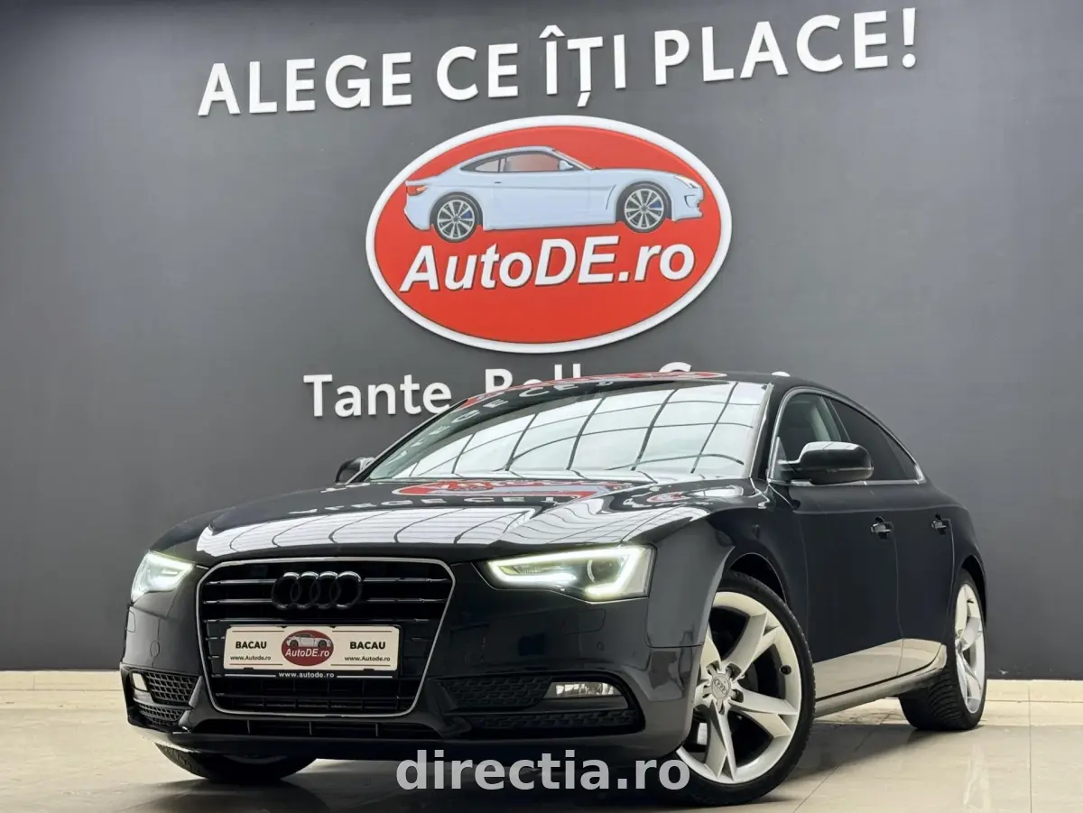 Poza principală