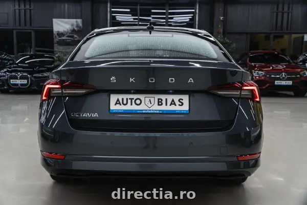 Poza anunț 25