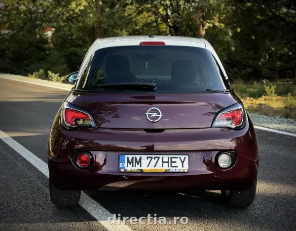 Poza anunț 10