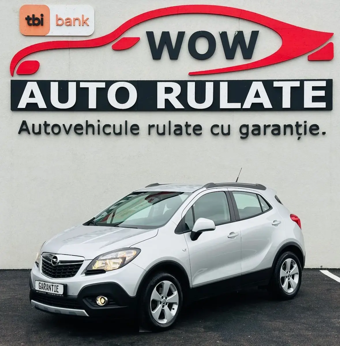 Poza principală