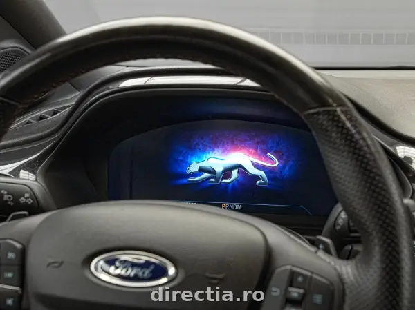 Poza anunț 13