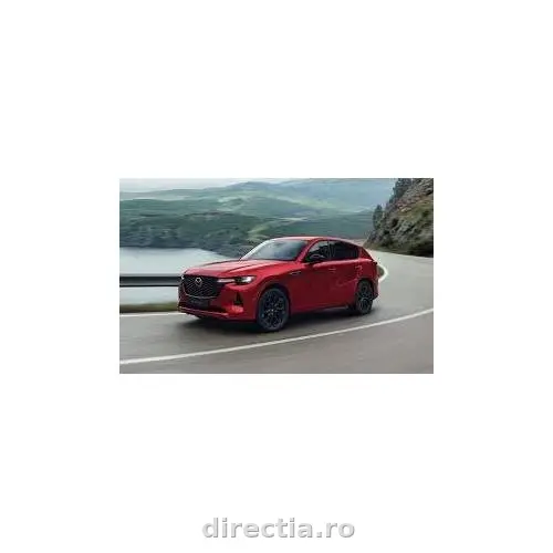 Poza principală