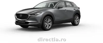 Poza anunț 1