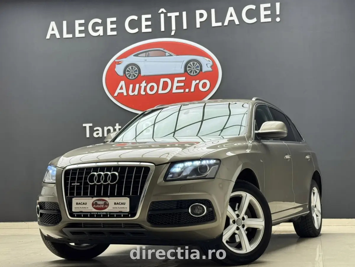 Poza principală