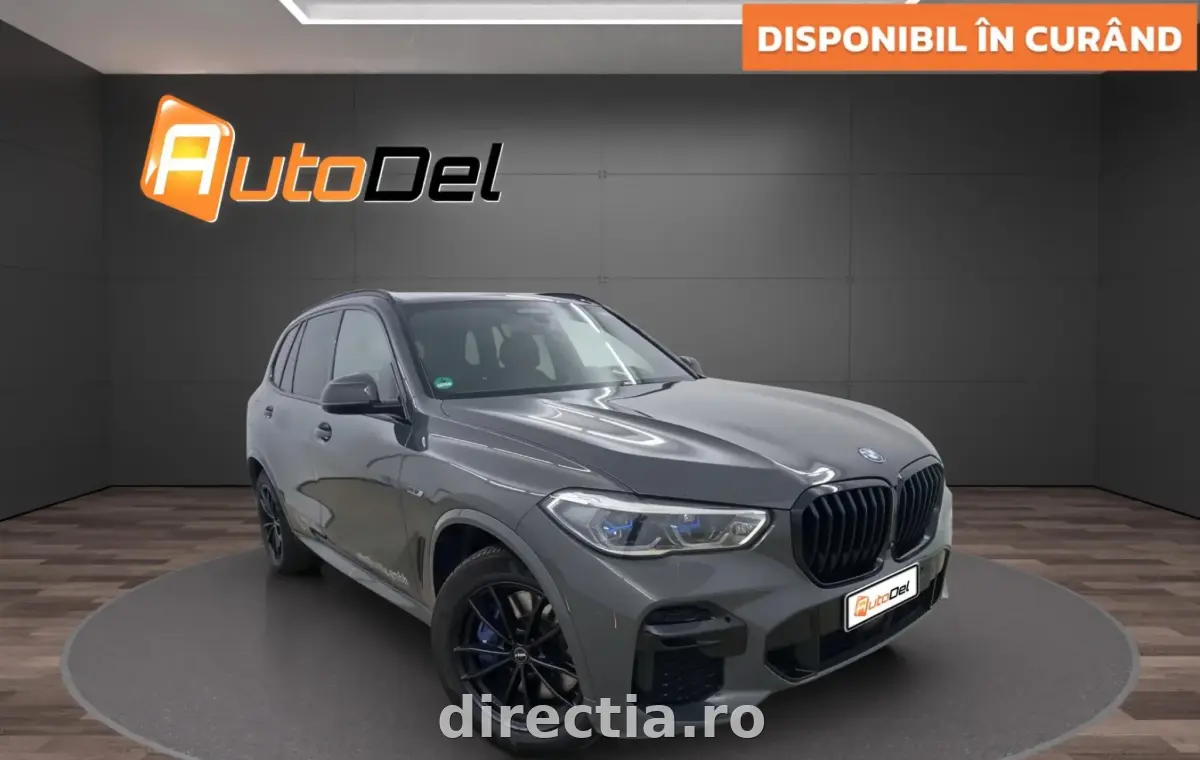 Poza principală