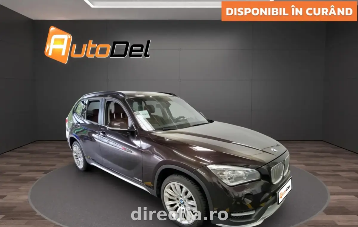 Poza principală