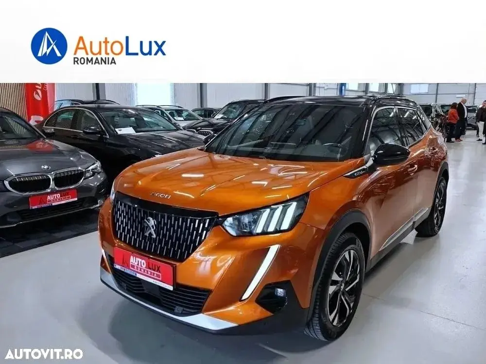 Poza principală