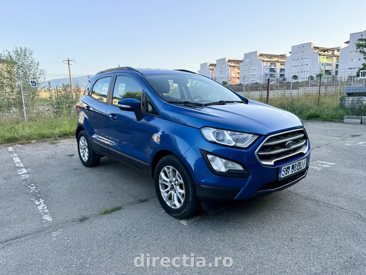 Poza principală