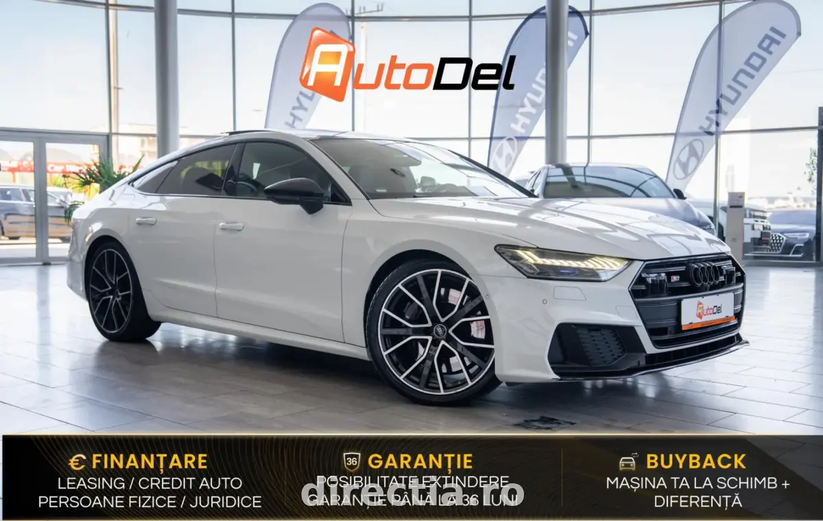 Poza principală