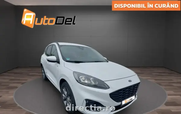 Poza anunț 1
