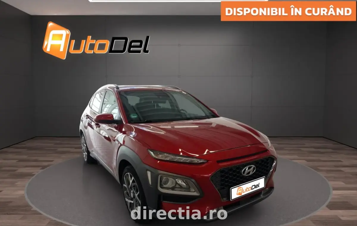 Poza principală