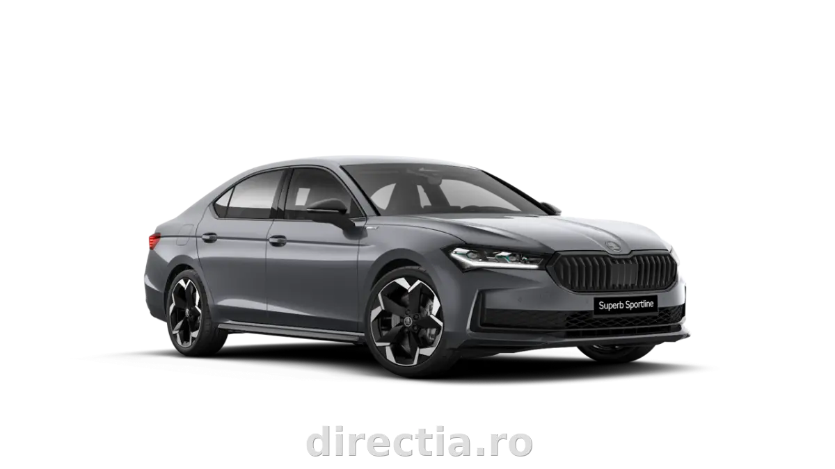 Poza principală