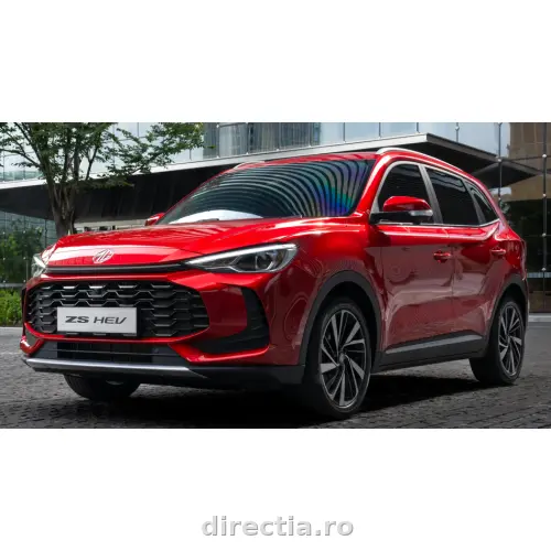 Poza principală