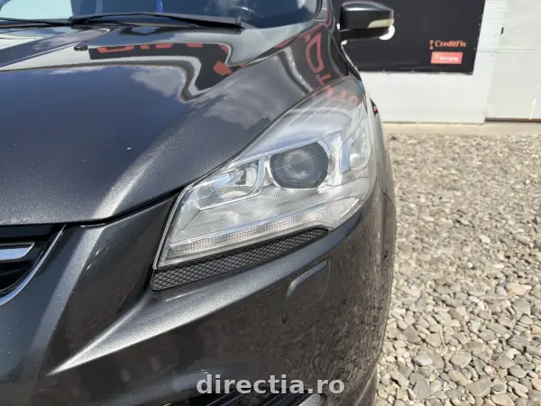 Poza anunț 5