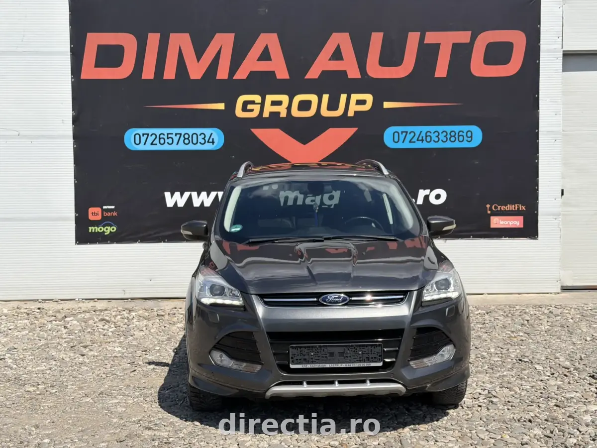 Poza principală