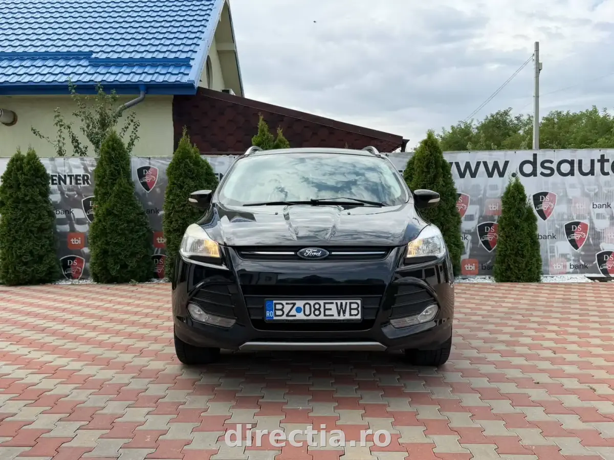 Poza principală