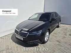 Poza principală