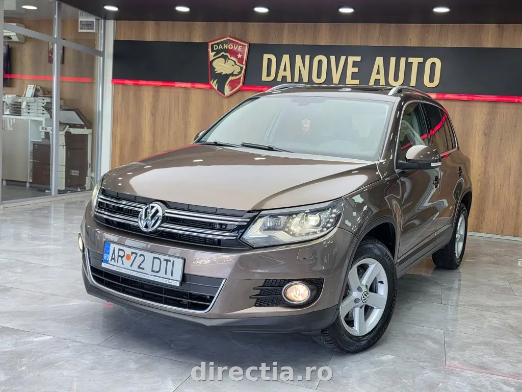 Poza principală