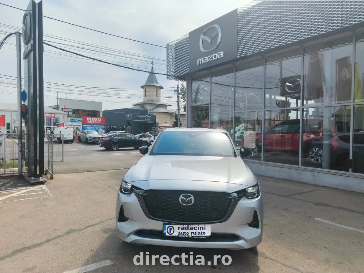 Poza principală