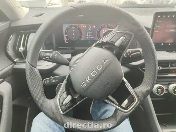 Poza anunț 11