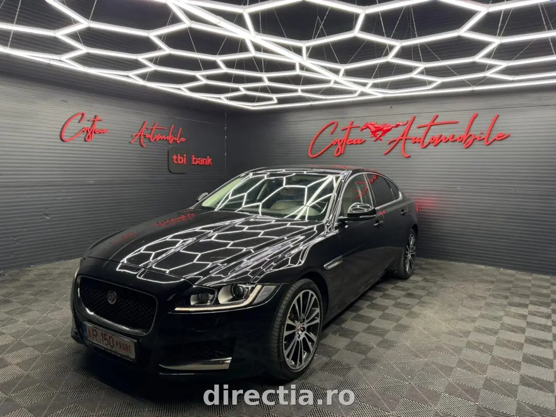 Poza principală