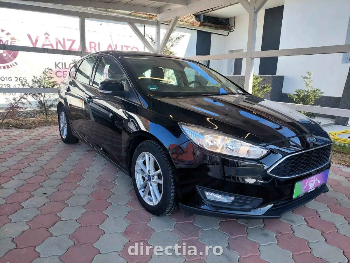 Poza principală
