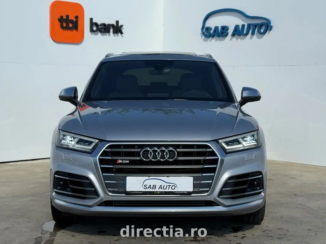 Poza principală