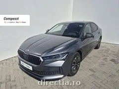 Poza principală