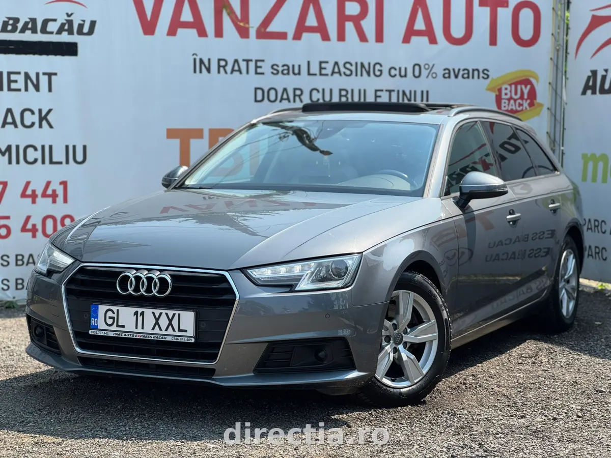 Poza principală