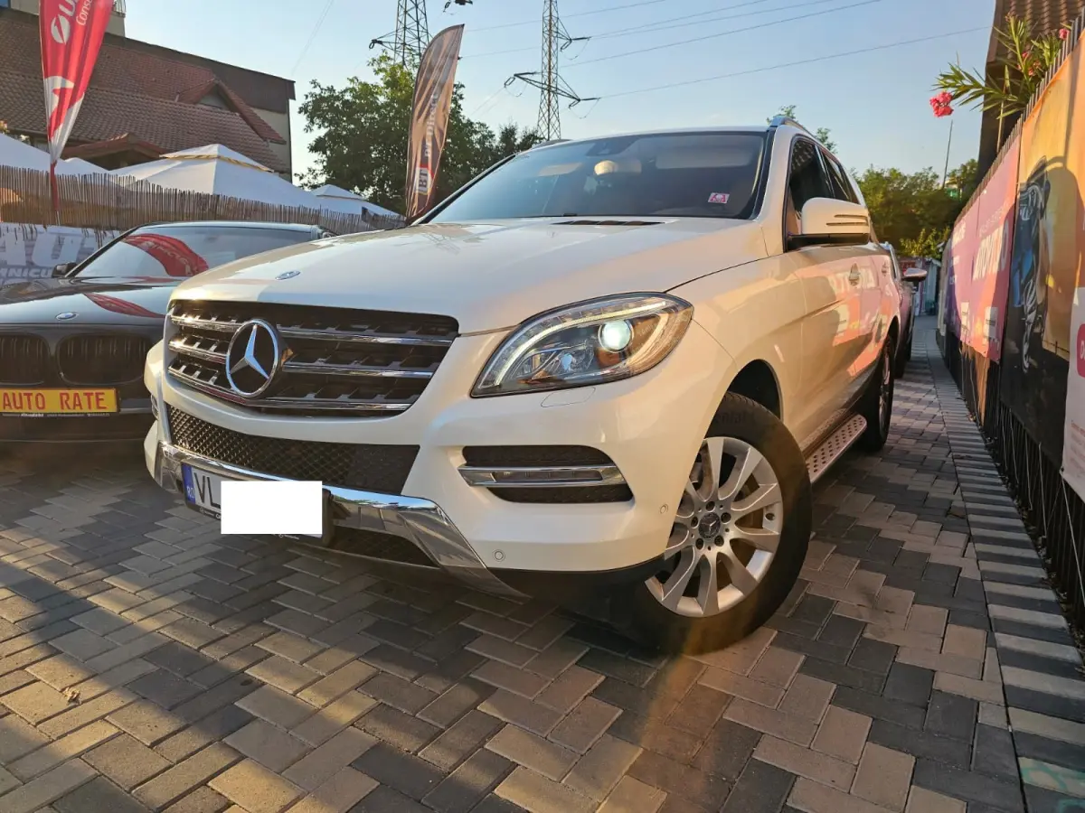 Poza principală